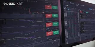 Discover the Trading Platform PrimeXBT Brazil A Comprehensive Guide Discover the Trading Platform PrimeXBT Brazil A Comprehensive Guide